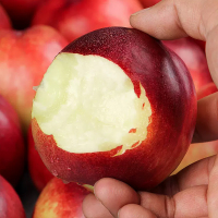 [苏鲜生]智利进口桃驳李 净重5斤 进口油桃 新鲜水果桃子 新鲜水果