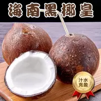 [西沛生鲜]海南黑椰皇 8个装 单果550-950g 新鲜椰子 当季热带水果 汁水充沛