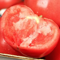 [西沛生鲜]陕西普罗旺斯番茄 净重5斤装 大果 9-16个