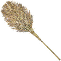 兰诗 LAUTEE 商用级木质清洁工具国产耐用环保设计