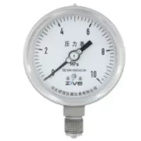 ZIVE 工业安全压力表ZIVE-1306460
