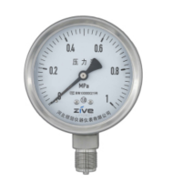 ZIVE 工业压力表ZIVE-1306459