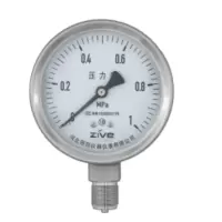 ZIVE 工业压力表ZIVE-1306459