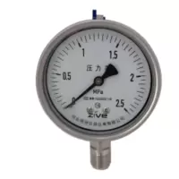 ZIVE 工业压力表ZIVE-1306462