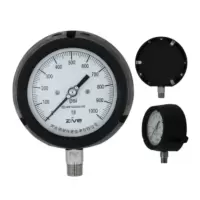 ZIVE 安全压力表ZIVE-1306464