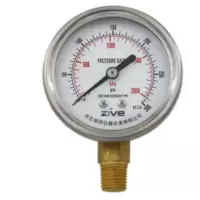 ZIVE 压力表ZIVE-1306465