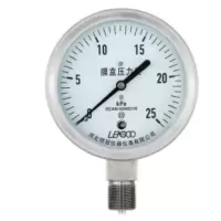 ZIVE 膜盒压力表ZIVE-1306466