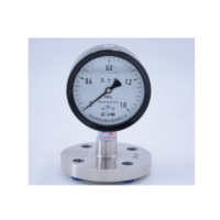 ZIVE 隔膜压力表ZIVE-1306471 个