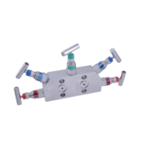 ZIVE五阀组ZIVE-2106492 个