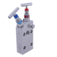 ZIVE二阀组ZIVE-2106490 个