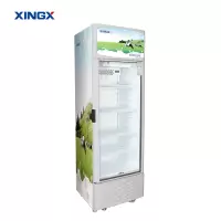 星星(XINGX)LSC-248FDM-TY乳品柜 展示柜 饮料柜 冷藏柜 商用立式冷柜 玻璃门 超市大容量冰箱