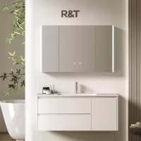 瑞尔特现代轻奢挂墙式卫浴家具Y1053一体陶瓷盆