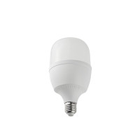 晫安联 ZX2101C AC220V30W6500K螺口式E27LED工业级节能灯泡 灯泡 (计价单位:个) 白色