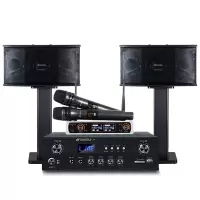 山水(SANSUI)大功率 家用电视卡拉OK套装 家庭环绕影院电视重低音炮K歌音响 PK06(6吋升级版)+功放+话筒
