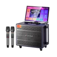 山水(SANSUI)MC109 户外k歌家庭KTV卡拉OK唱歌点歌一体机大功率蓝牙音响 MQ109+21吋屏+1T内存