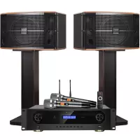 山水(SANSUI)FK-101 家用电视客厅音响套装 大音箱 FK101三分频10单元音响+功放+美声U段话筒