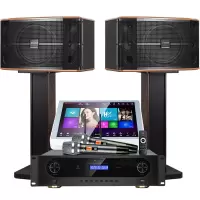 山水(SANSUI)FK-101 家用电视客厅音响套装 大音箱 10吋三分频10单音响+功放+话筒+500G点歌机