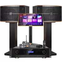 山水(SANSUI)FK-101 家用电视客厅音响套装 大音箱 [推荐]FK101三分频10单元+功放+话筒+3T