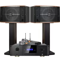 山水(SANSUI)FK-101 家用电视客厅音响套装 大音箱 FK121三分频10单元音箱+功放+美声话筒