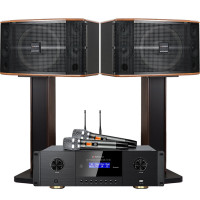 山水(SANSUI)FK-101 家用电视客厅音响套装 大音箱 [推荐]FK101三分频10单元+功放+话筒+2T