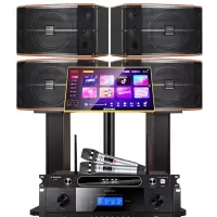 山水(SANSUI)FK-101 家用电视客厅音响套装 大音箱 四只FK101(10吋音箱+功放+话筒+3T点歌机)