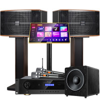 山水(SANSUI)FK-101 家用电视客厅音响套装 大音箱 FK101三分频10吋音箱+功放话筒+3T+低音炮