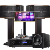 山水(SANSUI)FK-101 家用电视客厅音响套装 大音箱 FK101三分频10吋音箱+功放话筒+3T+低音炮