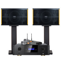 山水(SANSUI) PK-10家庭家用ktv音响套装 大功率音箱 PK10十喇叭音响+功放+话筒
