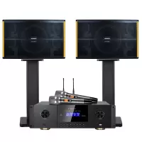 山水(SANSUI) PK-10家庭家用ktv音响套装 大功率音箱 PK10十喇叭音响+功放+话筒
