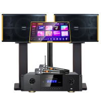 山水(SANSUI) PK-10家庭家用ktv音响套装 大功率音箱 [推荐]PK10十喇叭音响+功放+U段话筒+2T