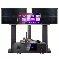 山水(SANSUI) PK-10家庭家用ktv音响套装 大功率音箱 [推荐]PK10十喇叭音响+功放+U段话筒+2T