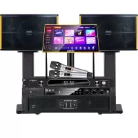 山水(SANSUI) PK-10家庭家用ktv音响套装 大功率音箱 PK10+后级功放+效果器+U段麦+3T点歌机