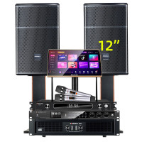山水(SANSUI)SQ12家用电视组合功放套装唱歌商用设备音箱 SQ12专业箱+功放+效果器+美声话筒+3T点歌机