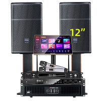 山水(SANSUI)SQ12家用电视组合功放套装唱歌商用设备音箱 SQ12专业箱+功放+效果器+U段麦+2T+低音炮