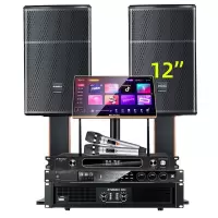 山水(SANSUI)SQ12家用电视组合功放套装唱歌商用设备音箱 SQ12专业箱+功放+效果器+U段麦+2T+低音炮