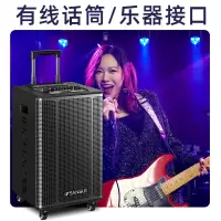 山水(SANSUI)户外拉杆大功率音响 移动蓝牙露营重低音炮音箱 E10(10吋重低音+双话筒)