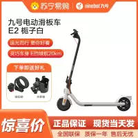 九号(Ninebot)电动滑板车E2成年人两轮代步便携式折叠电动车学生校园安全大屏幕仪表 E2白色