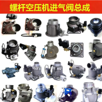 博莱特进气阀总成(含安装) 型号1625165302,单位套