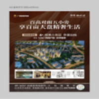 苏宁宜品驼色纸制礼品包装袋春节元旦专用日常实用设计