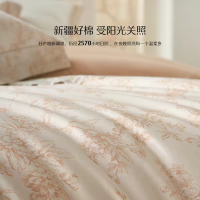 水星家纺2*2.3米四件套音律时光绿银色