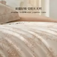 水星家纺2*2.3米四件套音律时光绿银色