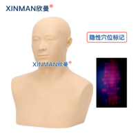 欣曼(XINMAN)XM-ZC01 针灸头部训练模型 头部针灸扎针练习模型