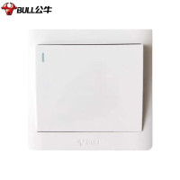 公牛(BULL)开关面板 一位单极带荧光开关86型白色暗装一开单控 GN-G32K111