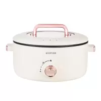 鸳鸯分体式电火锅