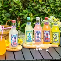 华洋1982汽水 果汁果味碳酸饮料荔枝味358ml*20瓶