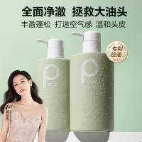 柏缇北非雪松控油蓬松洗发水 男女清爽留香氨基酸洗头露膏洗发露 控油 475ml*1瓶 北非洗发露