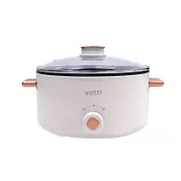 华帝4L多功能电火锅 VZG049C