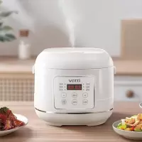 华帝4L智能电饭煲 VFB027C