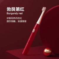 贝医生电动牙刷成人情侣男女牙刷自动声波智能充电式软毛牙刷 电动牙刷C3 1支