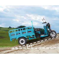 绿能牌电动三轮车续航40公里带大本可上牌